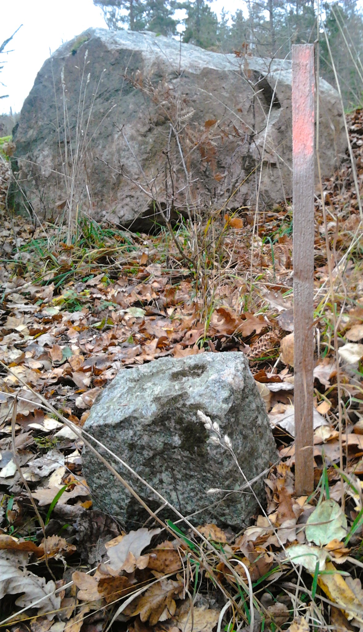 2011 11 07 lövstavretkopia