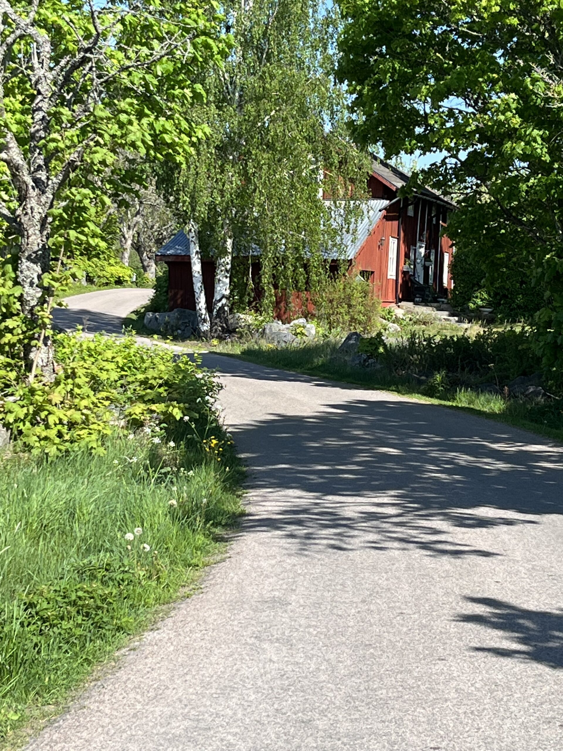 img 0135