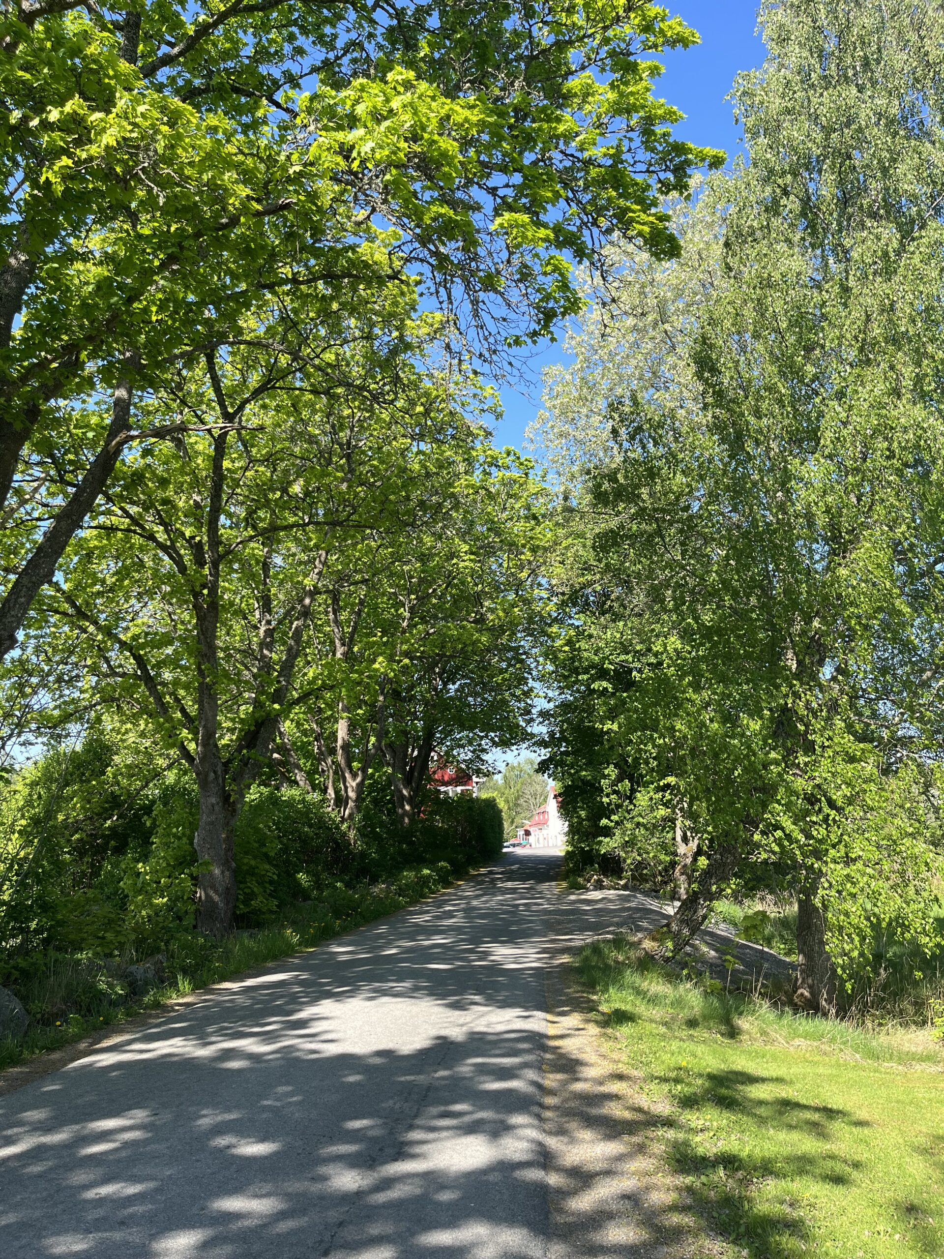 img 0159